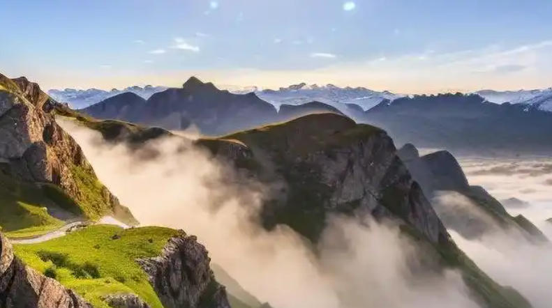 广东绿境园林景观工程有限公司轮播图2