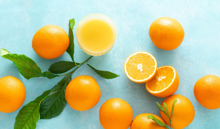 广东绿境园林景观工程有限公司轮播图3