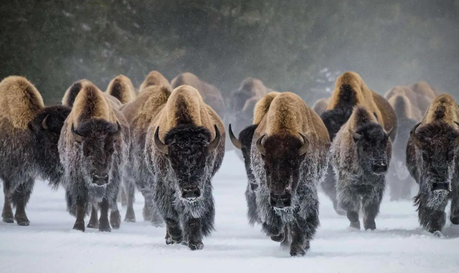 广东绿境园林景观工程有限公司轮播图1