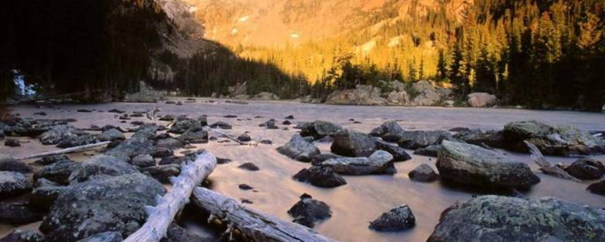 广东绿境园林景观工程有限公司轮播图5