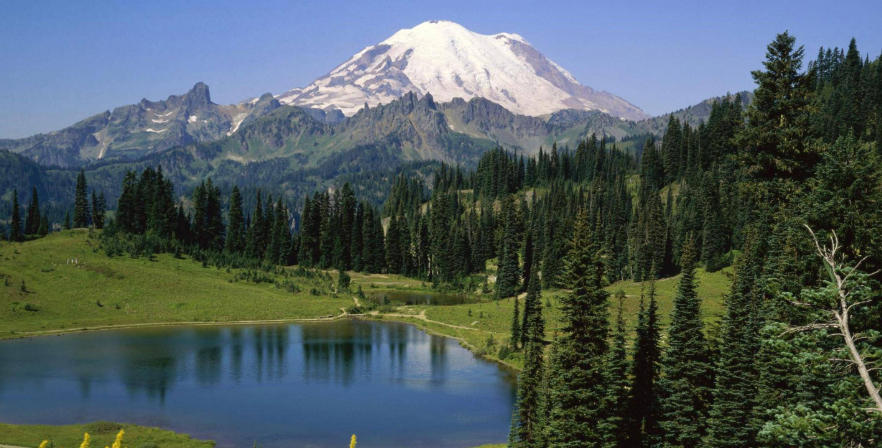 广东绿境园林景观工程有限公司轮播图3